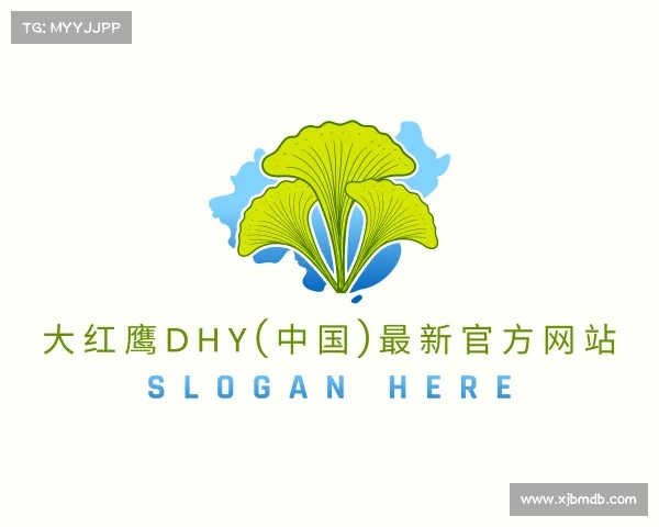 APP下载大红鹰dhy(中国)最新官方网站